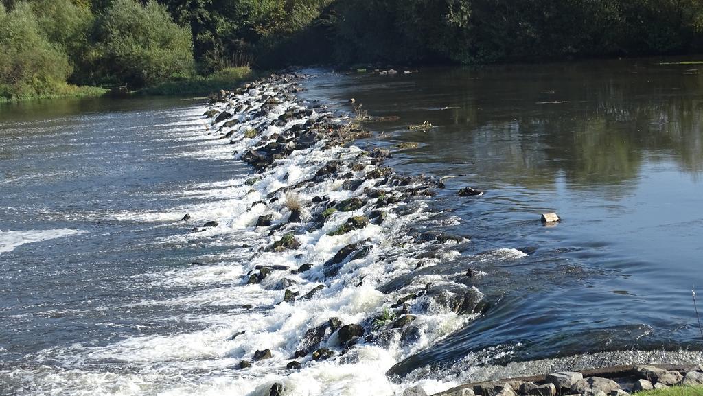 Pension Zur Sonne Wittenweier Schwanau Bagian luar foto